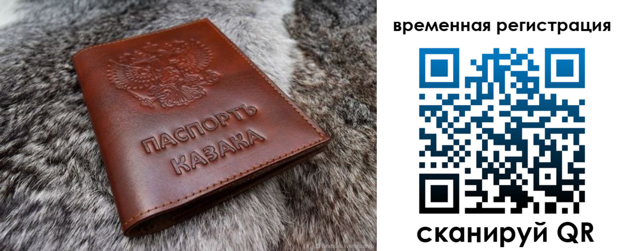 прописка 2025 в Новоалександровске